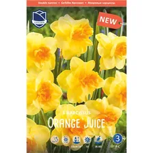 Narcissus Нарцисс Orange Juice (5 шт)