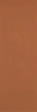 Плитка Colourline Orange 22х66,2