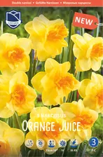 Нарцисс Оранж Джус (Narcissus Orange Juice)