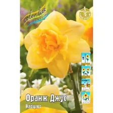 Луковица Нарцисс Orange Juice (1шт.) / Нарцисс Оранж Джус