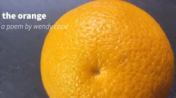 the orange—a poem by wendy cope//katherine noble