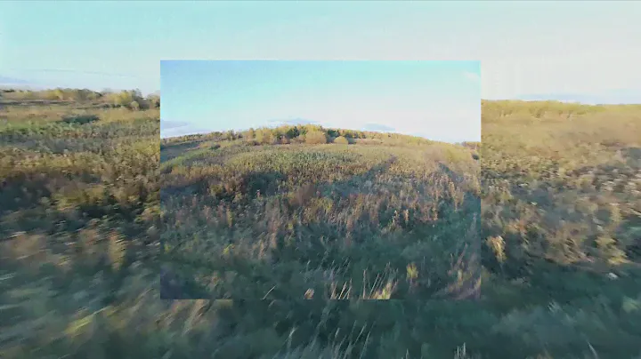Тест runcam 5 orange (Gyroflow test) #FPV #Gyroflow